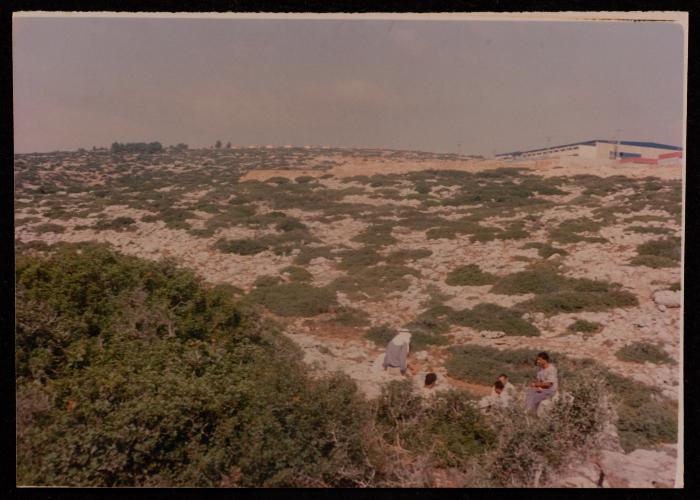 A Group of Men in a Wooded Area 