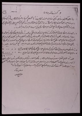 "Assessing Transcript", by Abderrahman Hussein