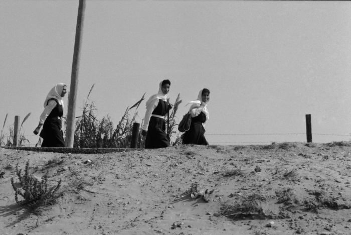 A Glimpse of the Daily Life in Gaza