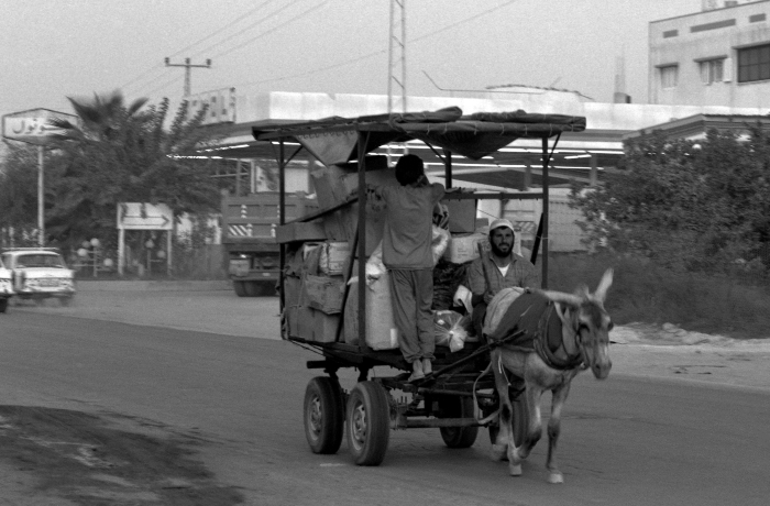 ملمح من الحياة اليومية في غزة