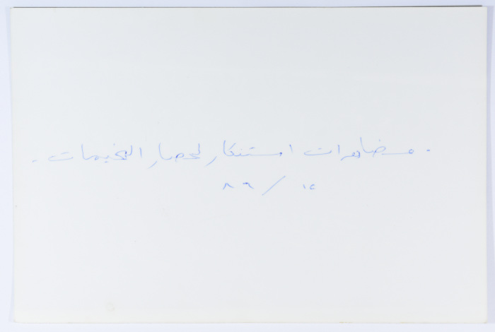 A Protest in Sidon to break the Siege off Camps