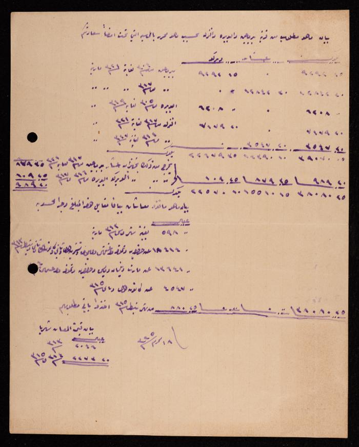 A Table of the Tithe and Property Taxes Collected from Bir Mai'n and al-Judeira Villages, 3 March 1907
