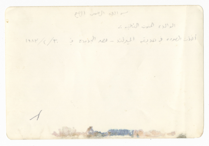 جميل الحسيني في القاهرة