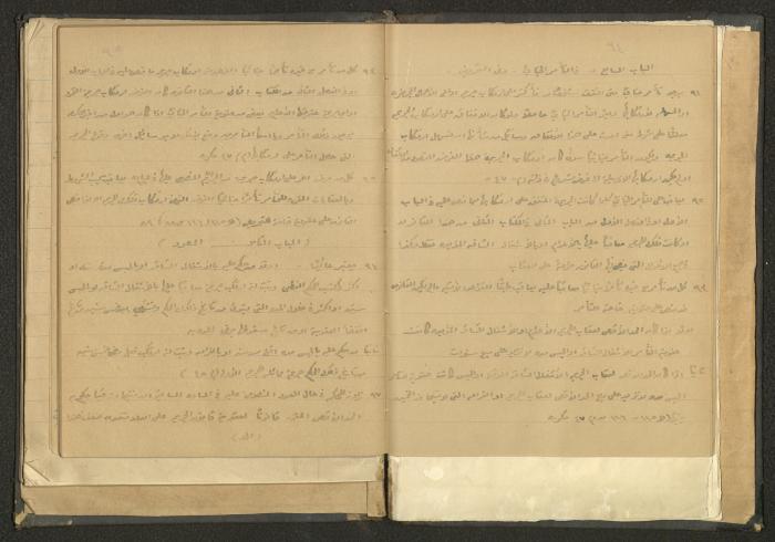 كتاب في الحقوق، عشرينيات القرن العشرين 