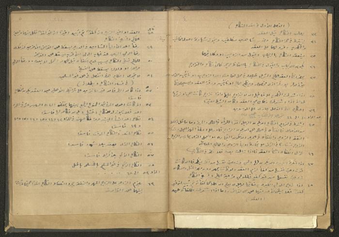 كتاب في الحقوق، عشرينيات القرن العشرين 