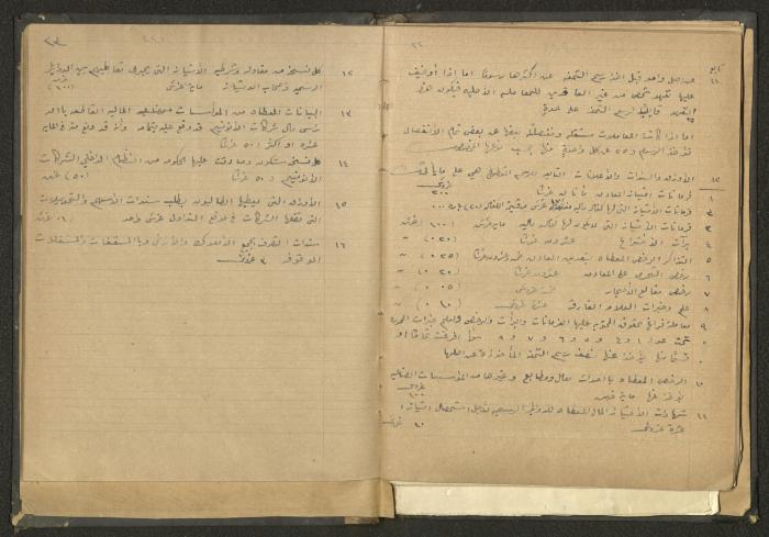 كتاب في الحقوق، عشرينيات القرن العشرين 