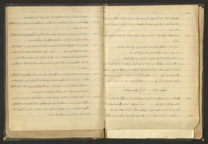 كتاب في الحقوق، عشرينيات القرن العشرين 