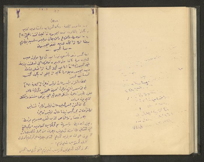 Continuation of a Book on Civil Procedure Rules, the 1920s 