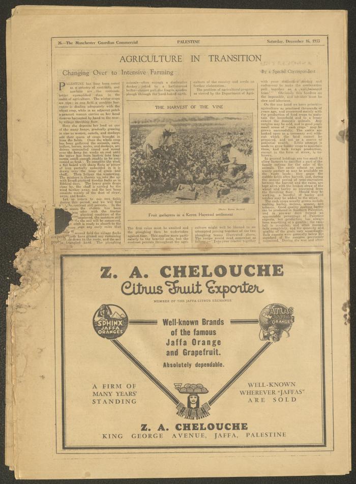 A Supplement of the Palestine Post, 16 December 1933