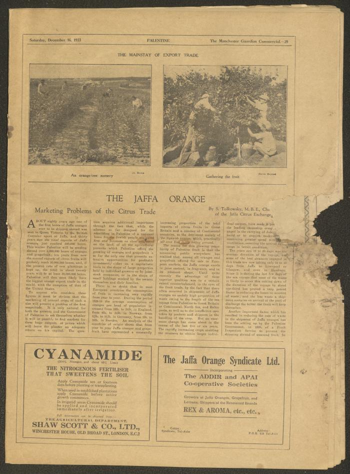 A Supplement of the Palestine Post, 16 December 1933