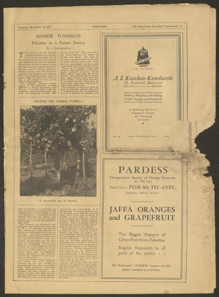 A Supplement of the Palestine Post, 16 December 1933