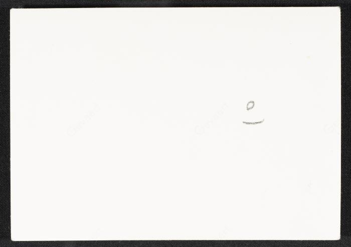 Salah ad-Din al-Alami and His Friends Before the Dome of the Rock, the 1950s