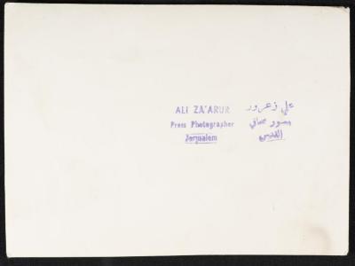 The Distribution of Food to Palestinian Refugee Children, September 1949