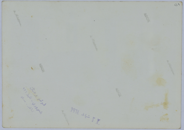 Head of the Arab Women Union Society with other people