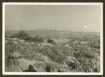 A Plot of Land Owned by the Touma Family, Beit Jala, the 1940s 