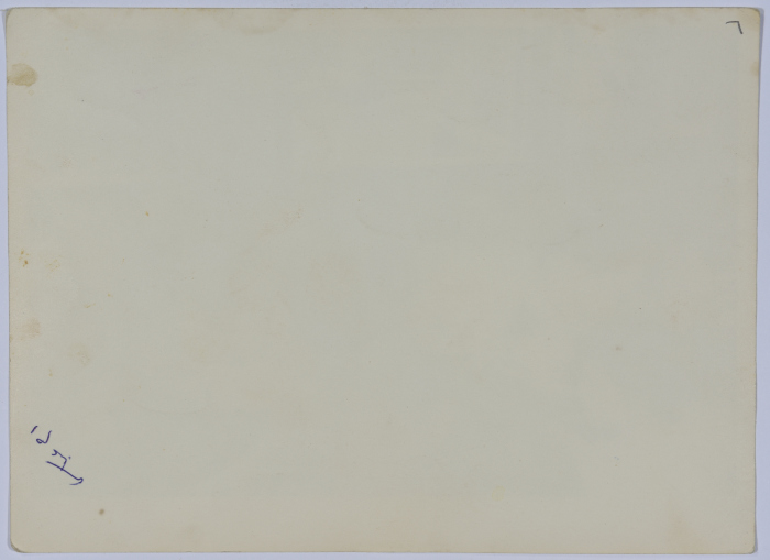 Women from the Arab Women Union Society