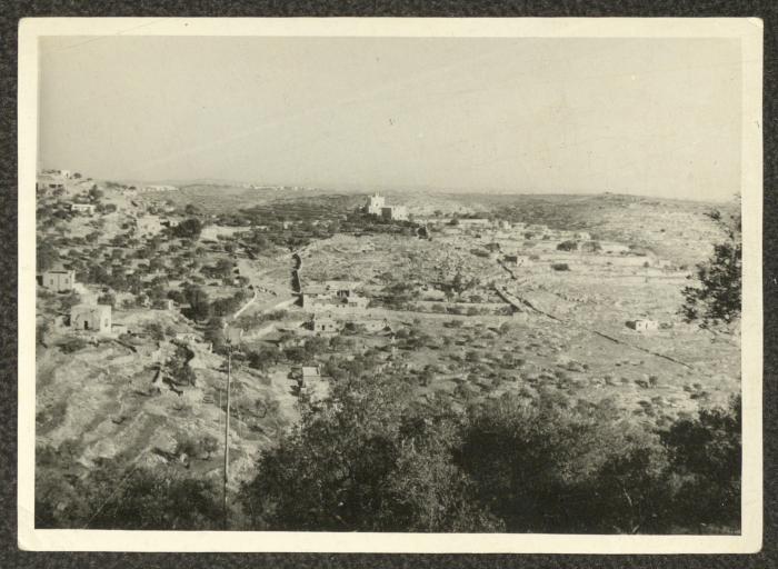 A Section of the Lands of the Town of Beit Jala, the 1950s