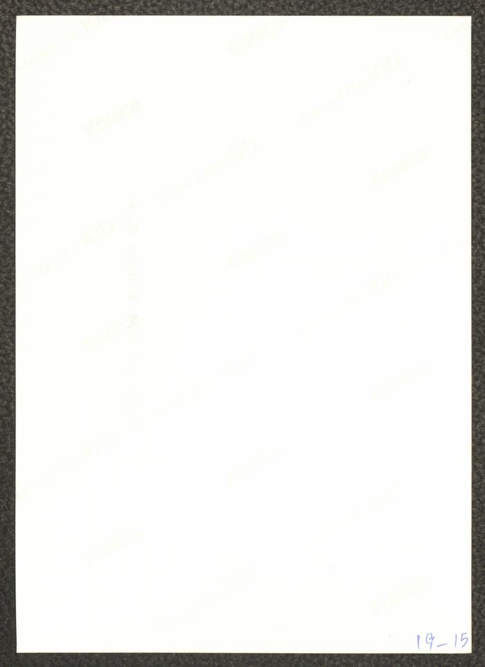 
A Scene from 