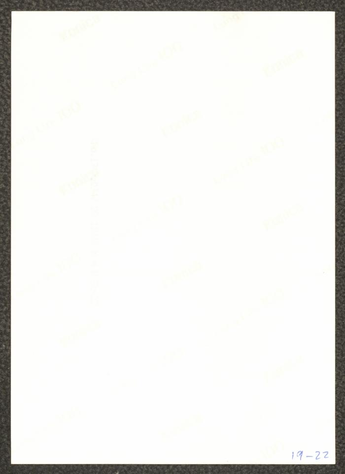 
A Scene from 