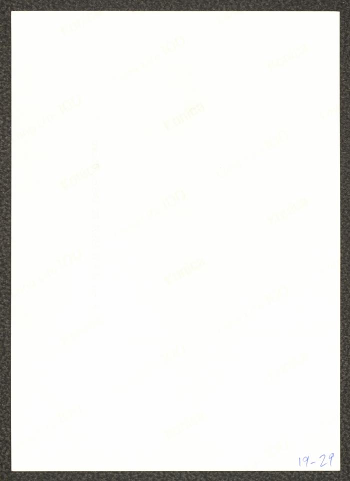 
A Scene from 