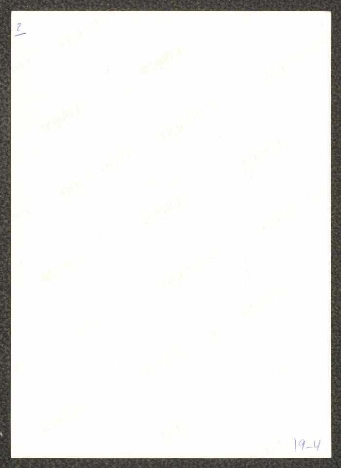 
A Scene from 