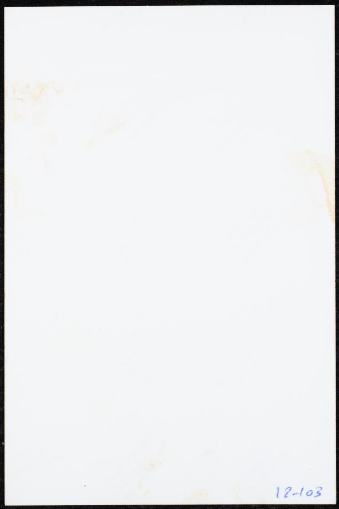 A Scene from the 