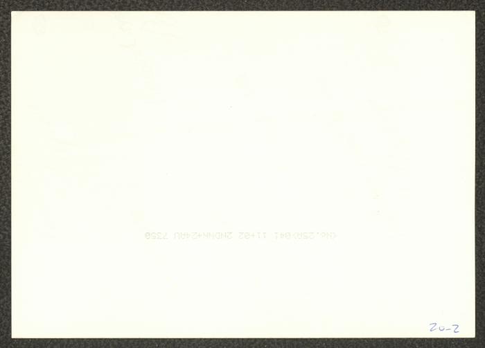 The Cast Members of the 