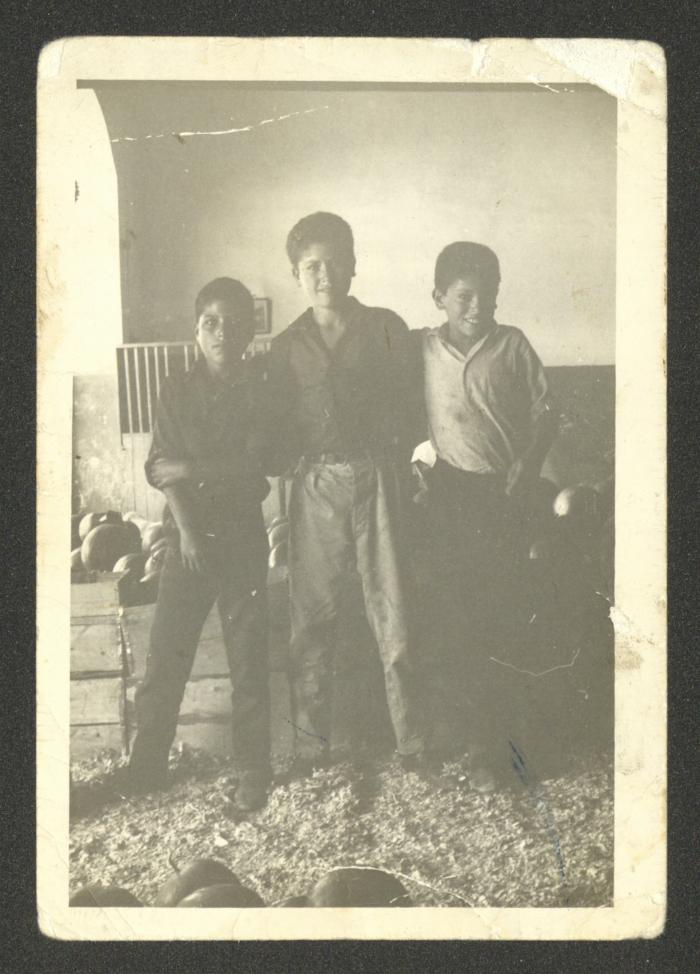 The Tartir Brother and Their Cousin Majed, Ramallah, 1 July 1965
