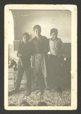 The Tartir Brother and Their Cousin Majed, Ramallah, 1 July 1965