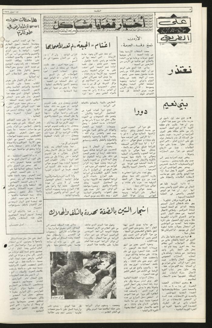 العدد الثمانون من جريدة الطليعة، 13 أيلول 1979