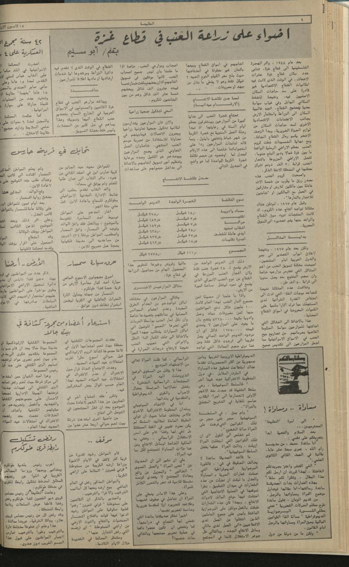 العدد 198 من جريدة الطليعة، 17 كانون أول 1981