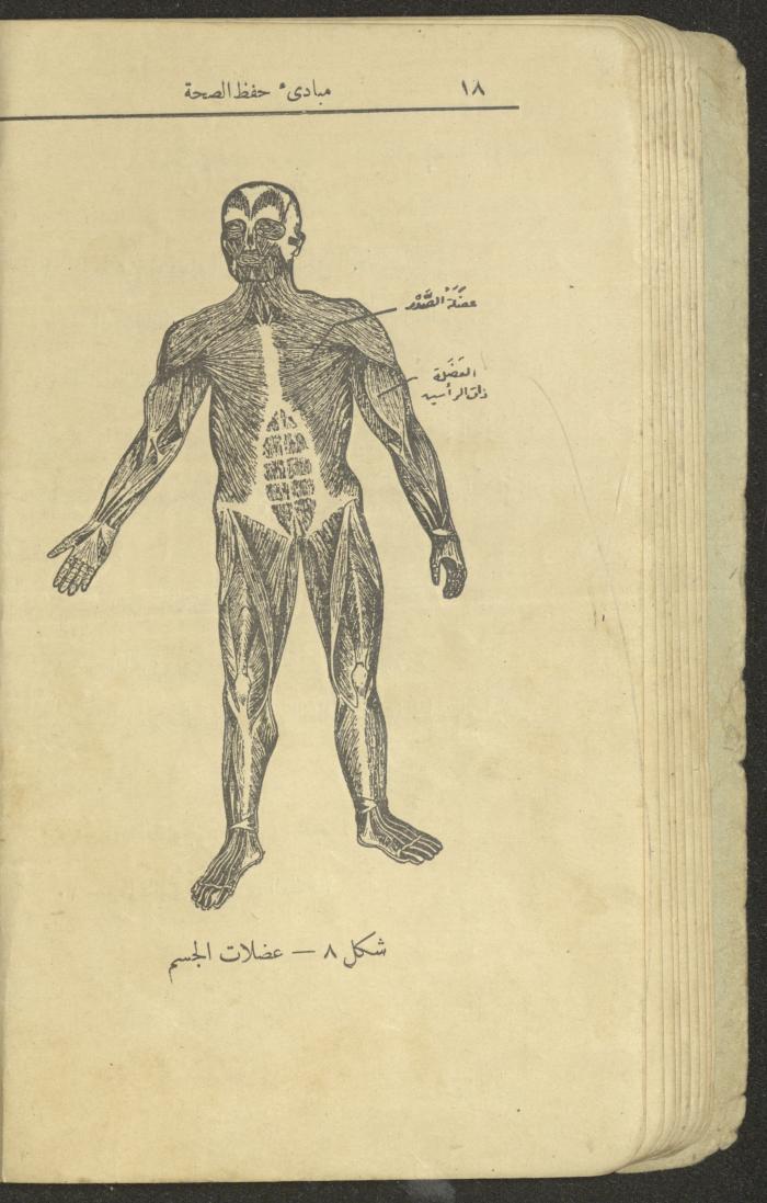 الجزء الثاني من كتاب 