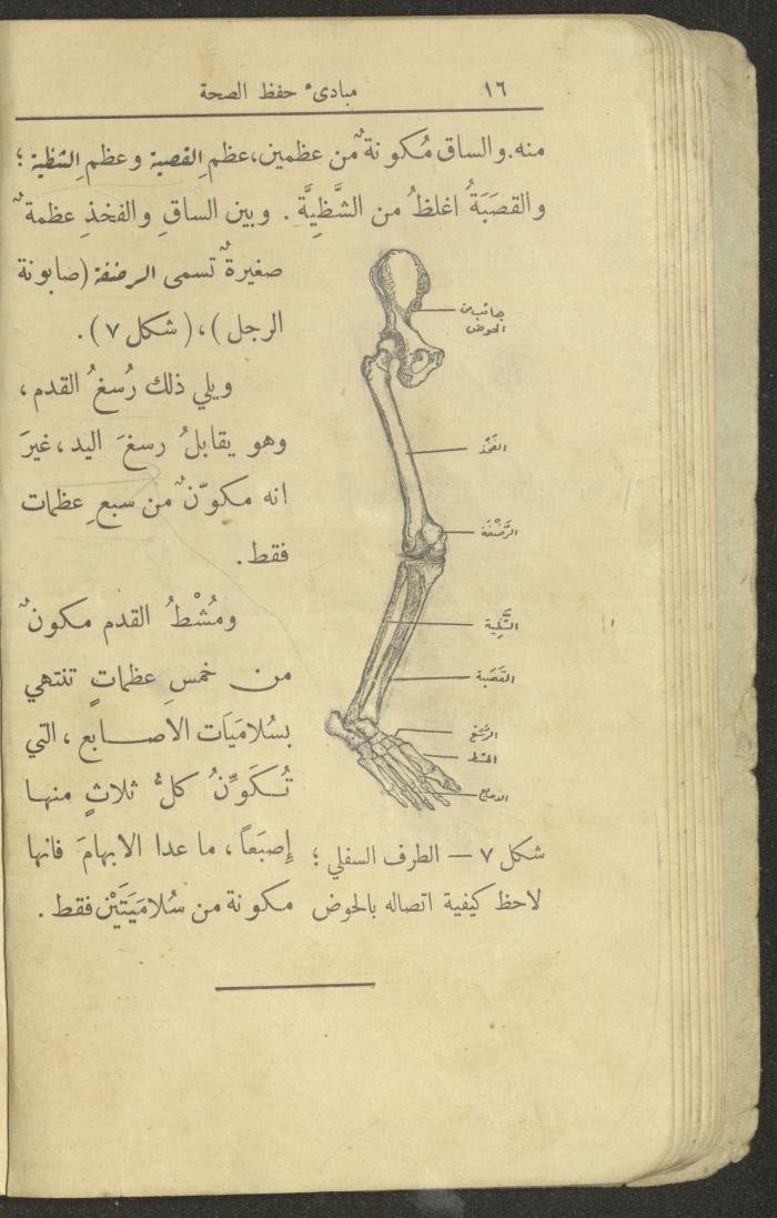 الجزء الثاني من كتاب 