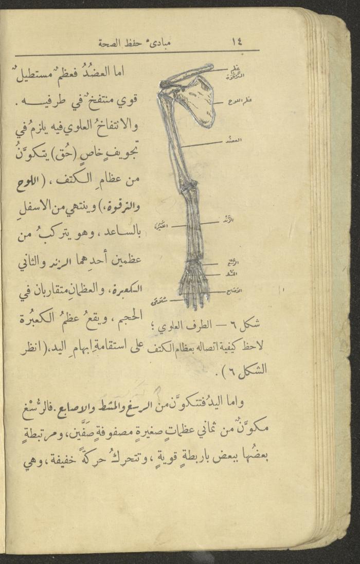 الجزء الثاني من كتاب 
