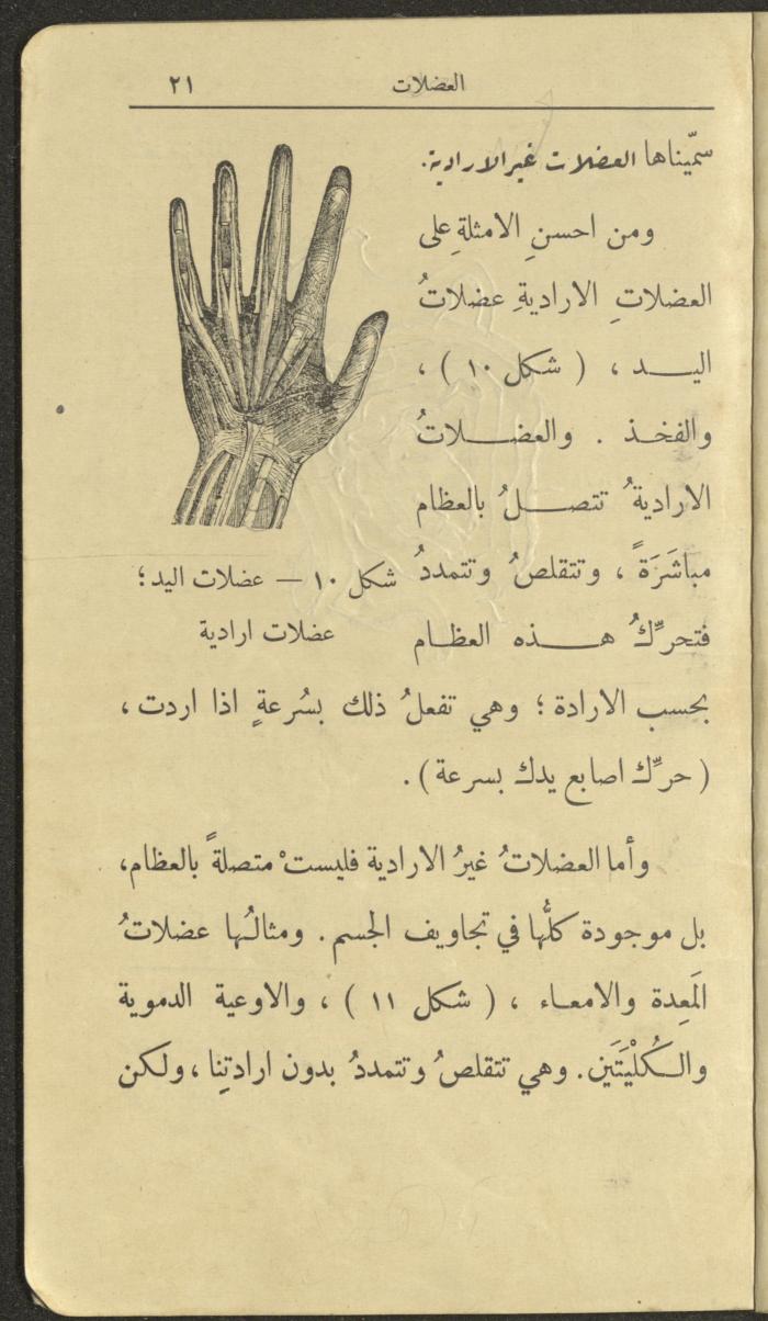 الجزء الثاني من كتاب 