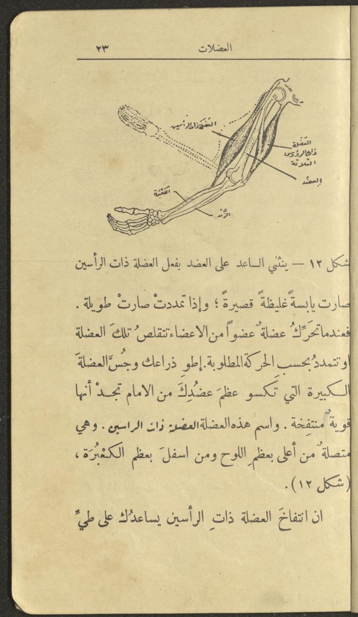 الجزء الثاني من كتاب 