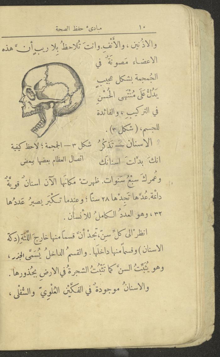 الجزء الثاني من كتاب 