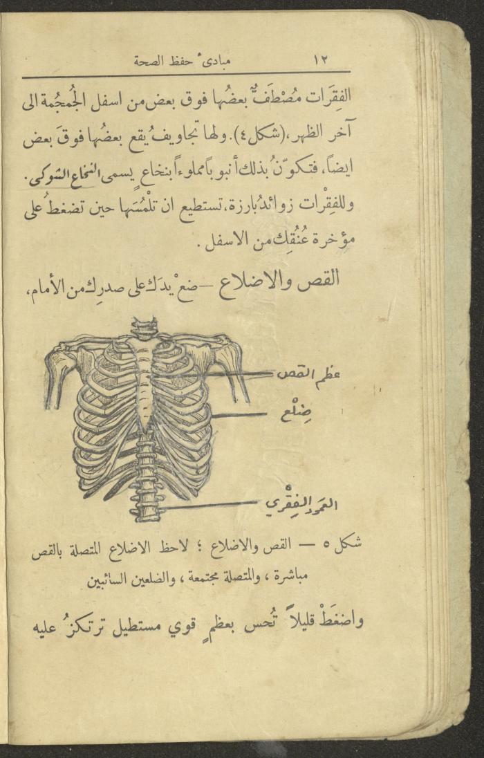 الجزء الثاني من كتاب 