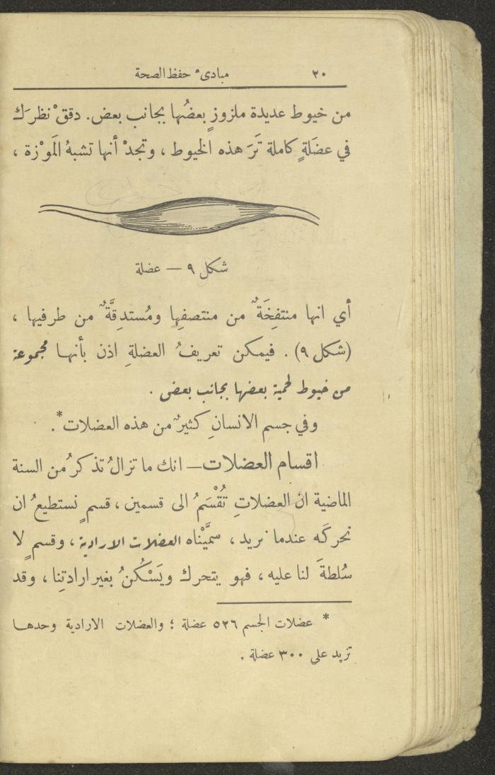 الجزء الثاني من كتاب 