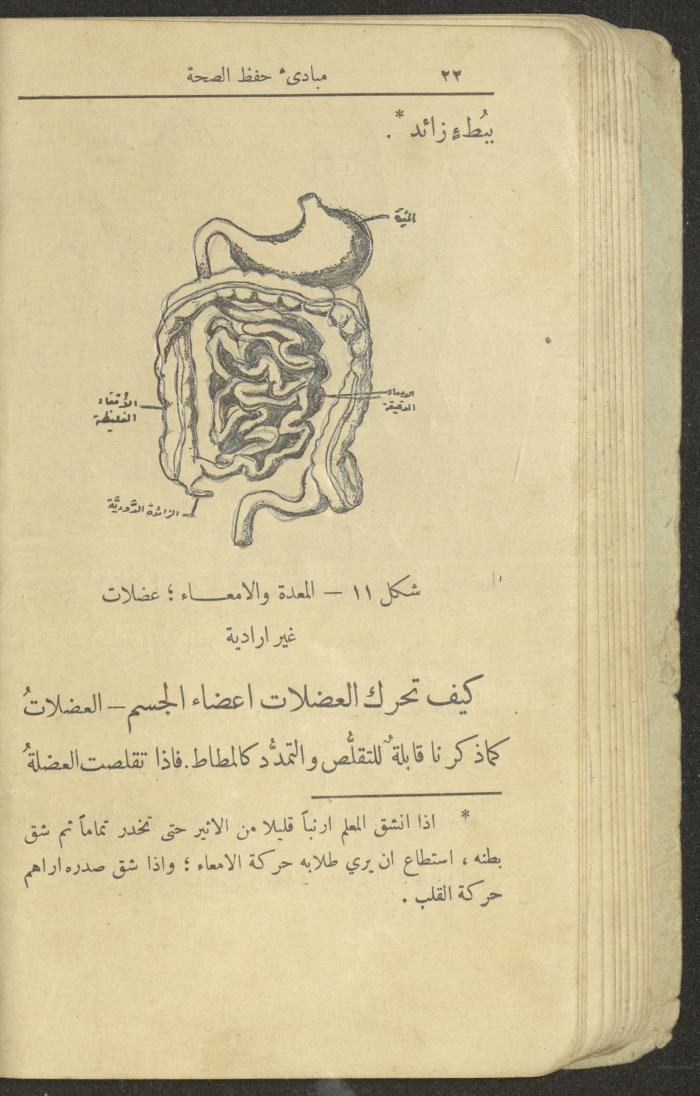 الجزء الثاني من كتاب 