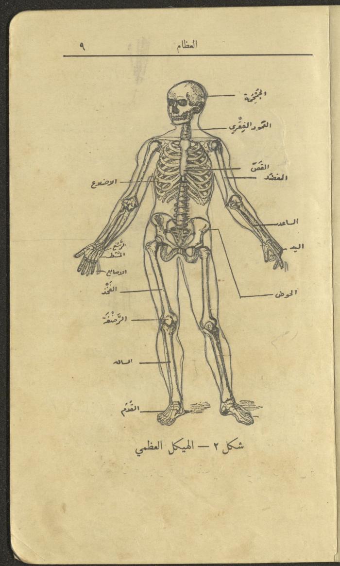 الجزء الثاني من كتاب 
