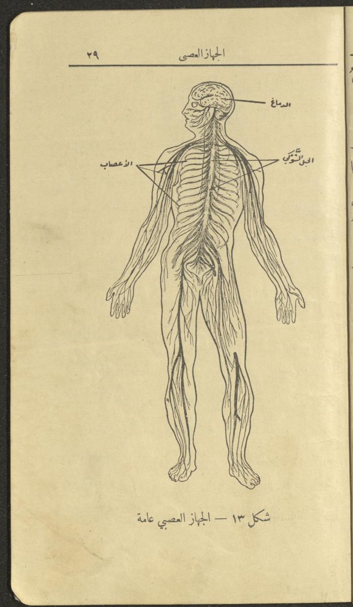 الجزء الثاني من كتاب 