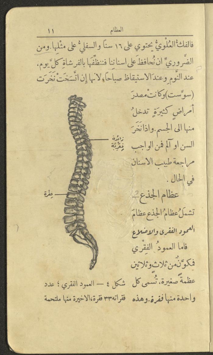 الجزء الثاني من كتاب 