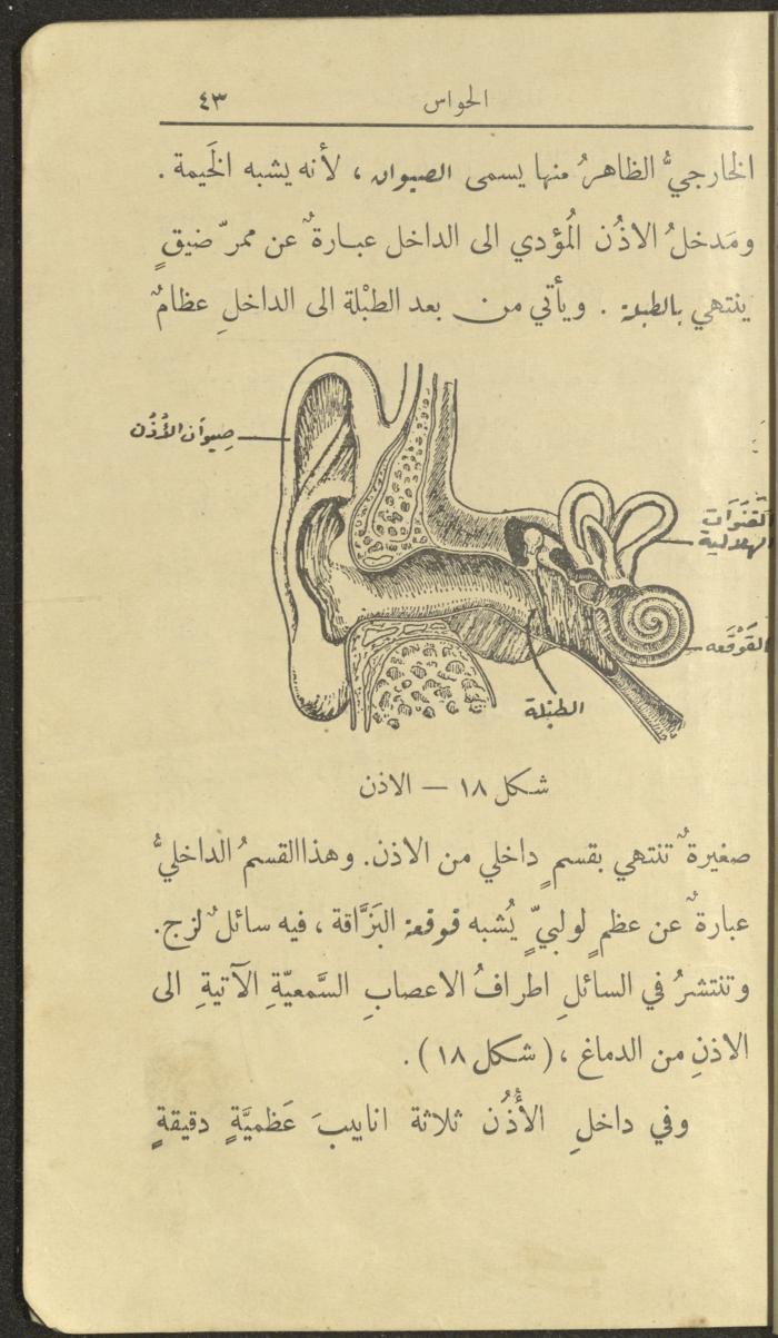 الجزء الثاني من كتاب 