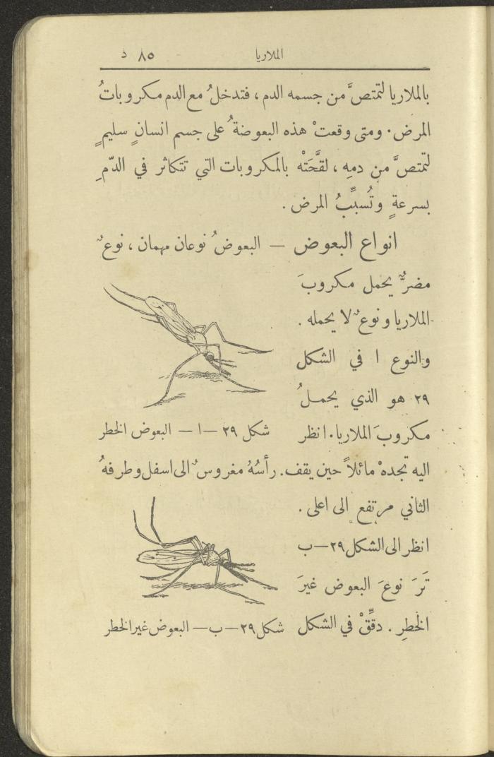 الجزء الثاني من كتاب 