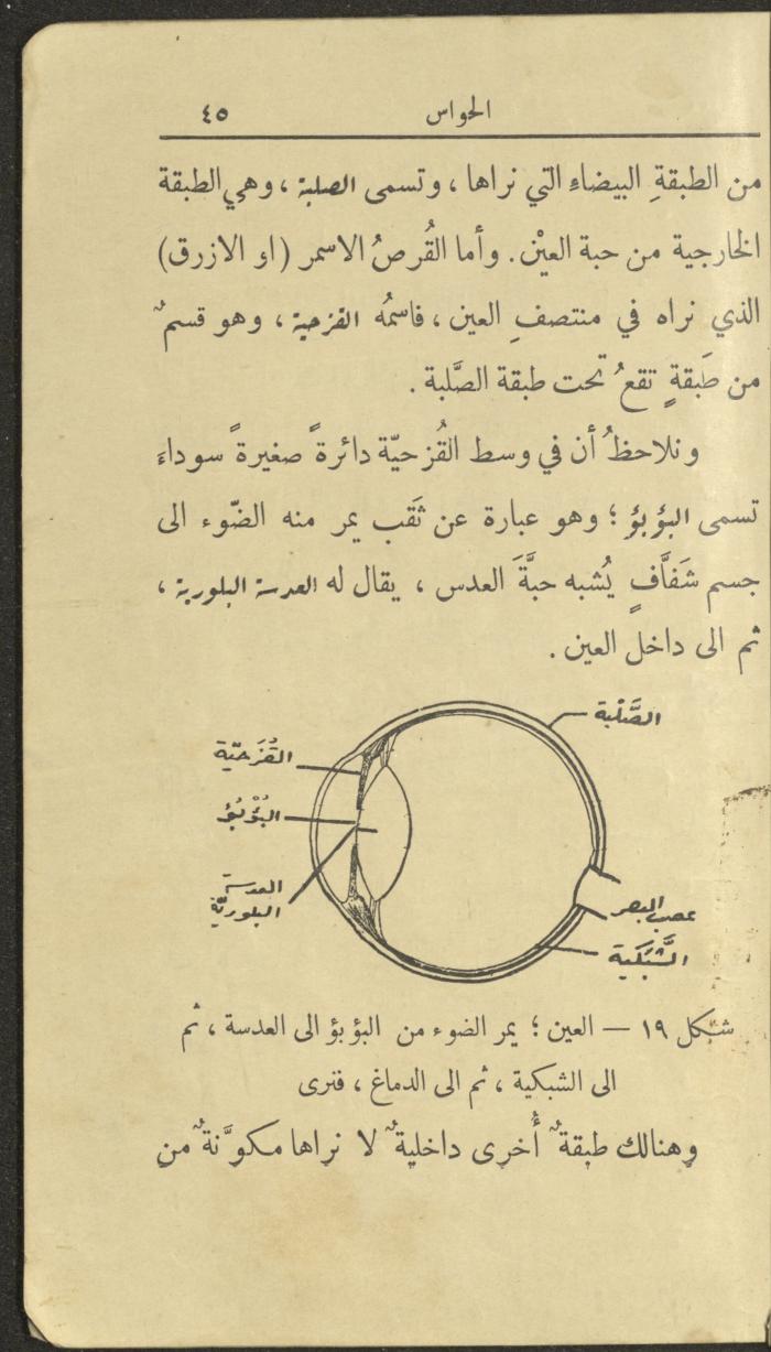 الجزء الثاني من كتاب 