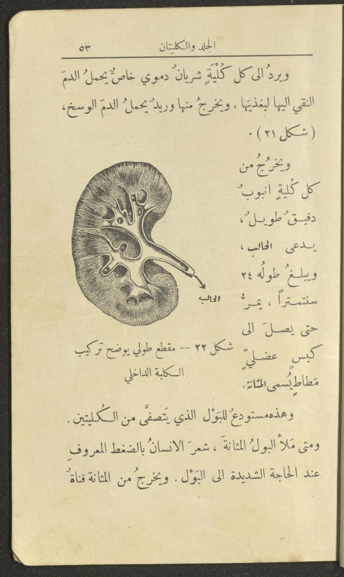 الجزء الثاني من كتاب 