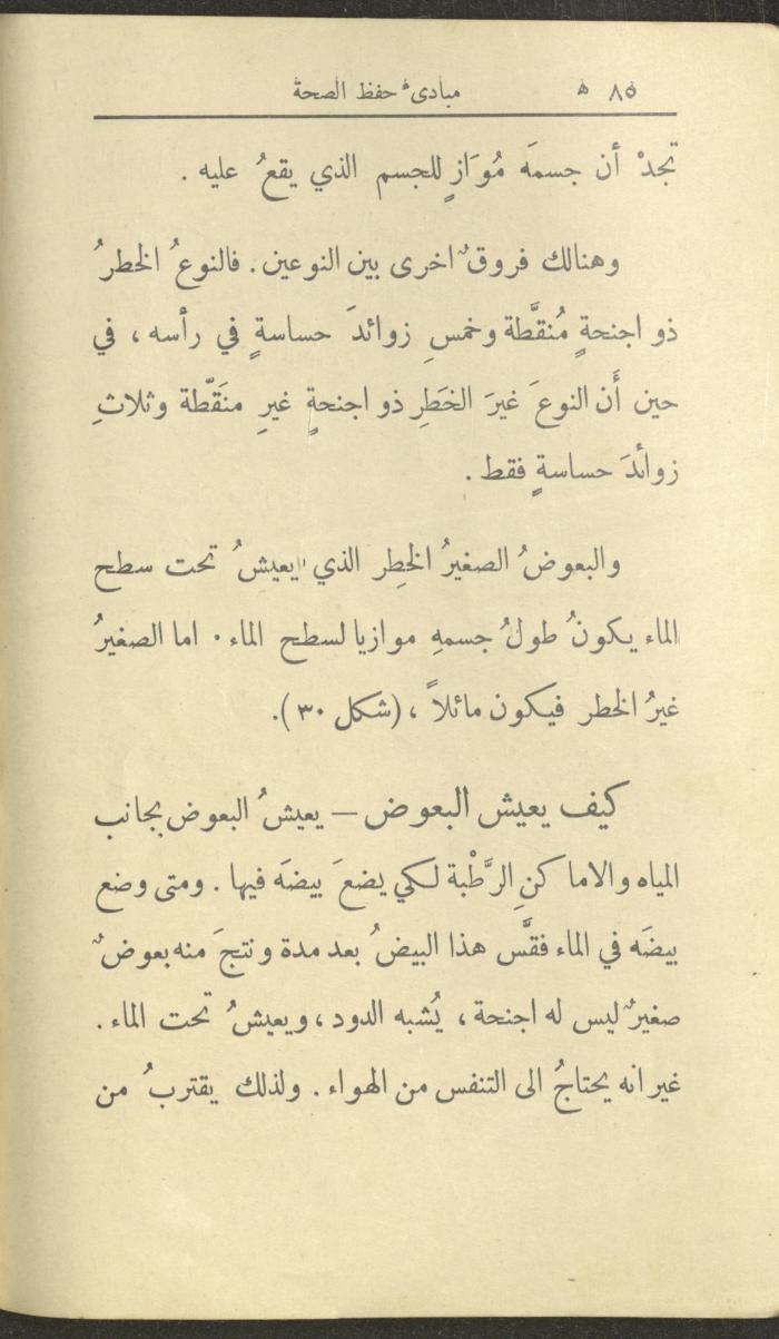 الجزء الثاني من كتاب 