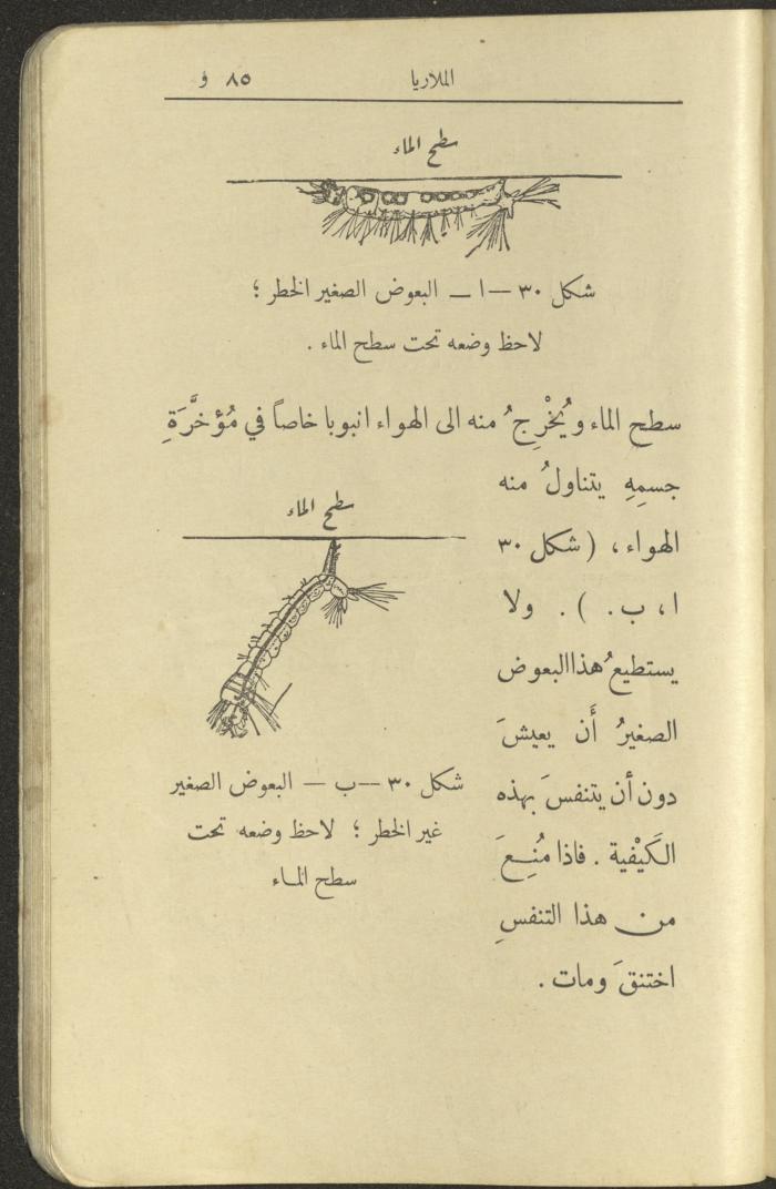 الجزء الثاني من كتاب 