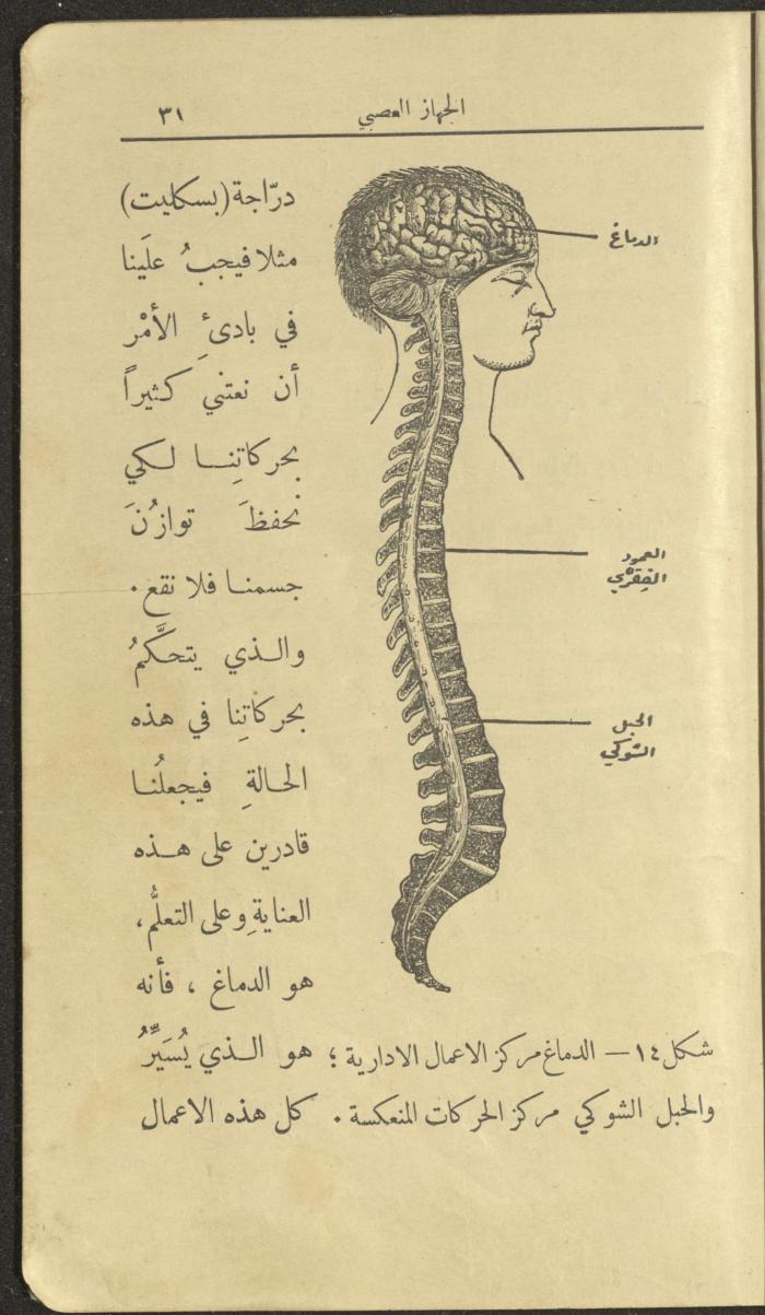 الجزء الثاني من كتاب 